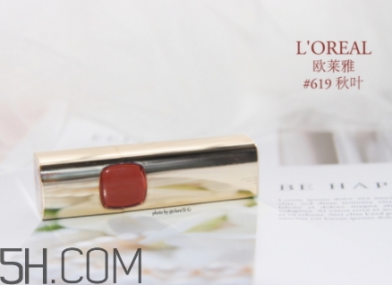 歐萊雅619和迪奧740像嗎？歐萊雅619秋葉和迪奧740對(duì)比