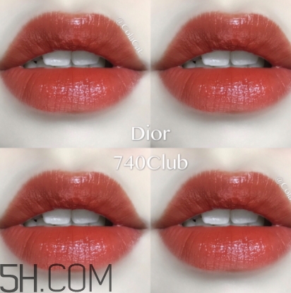 歐萊雅619和迪奧740像嗎？歐萊雅619秋葉和迪奧740對(duì)比