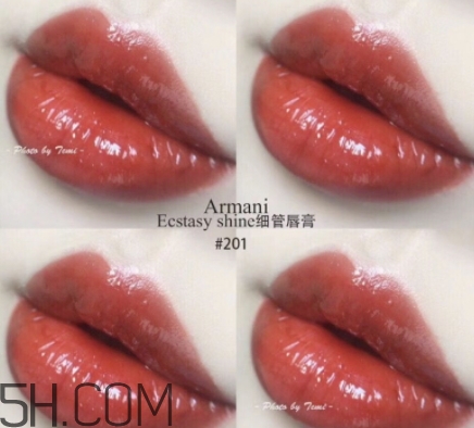 阿瑪尼細管唇釉201色號 阿瑪尼細管201試色