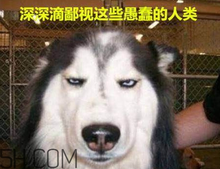 女生說(shuō)我醉了什么意思？女生說(shuō)喝多了怎么回復(fù)