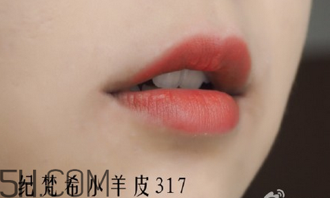 紀(jì)梵希304是西柚色嗎？紀(jì)梵希小羊皮304和317哪個好看？