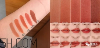 楓糖色口紅哪個牌子好？楓糖色口紅推薦