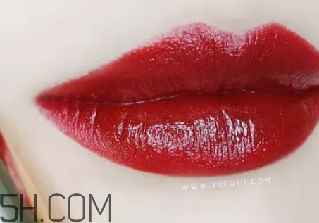 勃艮第酒紅口紅哪個牌子好？勃艮第紅口紅推薦