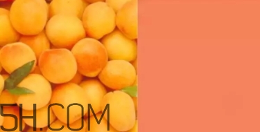 奶油杏是什么顏色？奶油杏色口紅試色