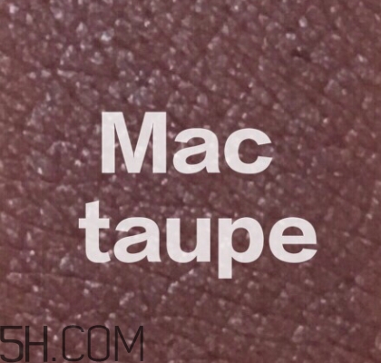 mac mocha和taupe哪個好看？mac mocha和taupe對比試色