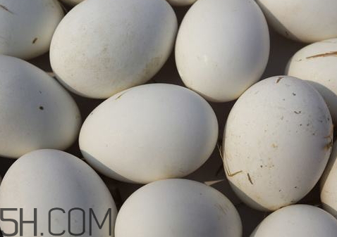 腌鵝蛋臭了還能吃嗎 臭鵝蛋對身體有害嗎 腌鵝蛋臭了還能吃嗎 臭鵝蛋對身體有害嗎