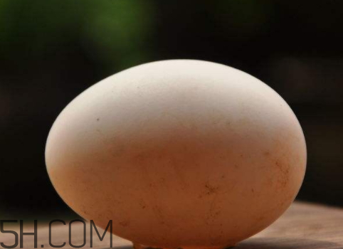 鵝蛋腌多久可以吃 鵝蛋腌制鹽和白酒比例 鵝蛋腌多久可以吃 鵝蛋腌制鹽和白酒比例