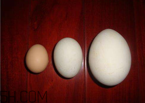 鵝蛋腌多久可以吃 鵝蛋腌制鹽和白酒比例 鵝蛋腌多久可以吃 鵝蛋腌制鹽和白酒比例