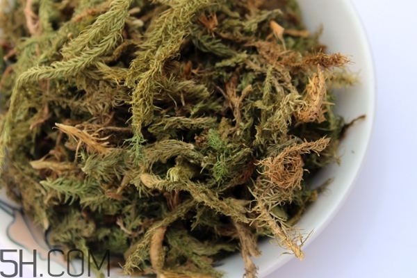 什么是伸筋草？伸筋草的功效與作用是什么？