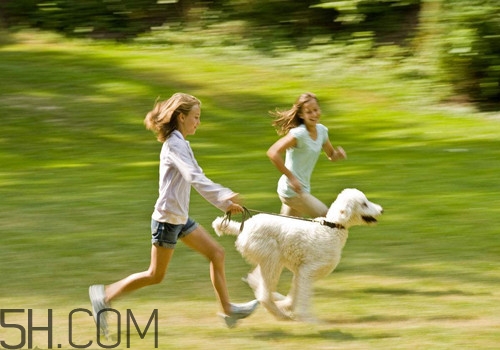 夜跑減肥的正確方法有哪些？冬天夜跑應該怎么跑才能減肥？