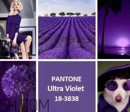 2018流行什么顏色衣服？2018流行衣服顏色搭配