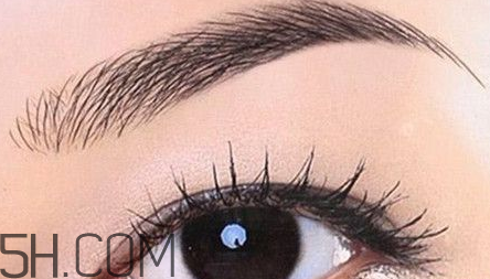 紋眉后還用畫眉嗎？紋眉后還會長眉毛嗎？