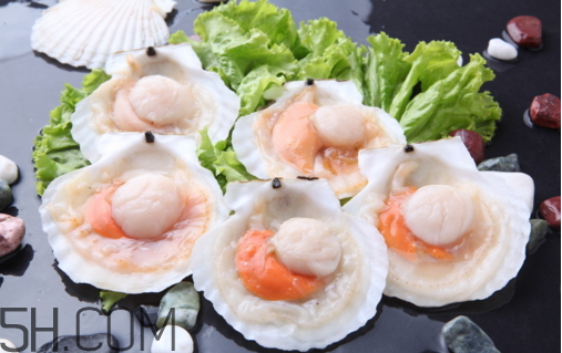 扇貝和生蠔有什么區(qū)別？扇貝和生蠔的營養(yǎng)價值