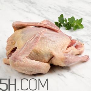 冬天吃什么肉好？冬天吃什么肉比較滋補身體？