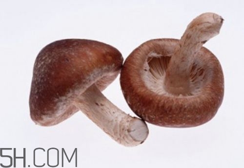 冬天吃什么肉好？冬天吃什么肉比較滋補身體？