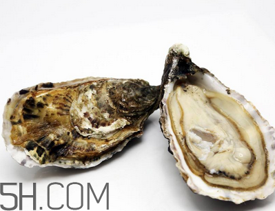 量吃生蠔有哪些好處？生蠔糖尿病人能吃嗎？