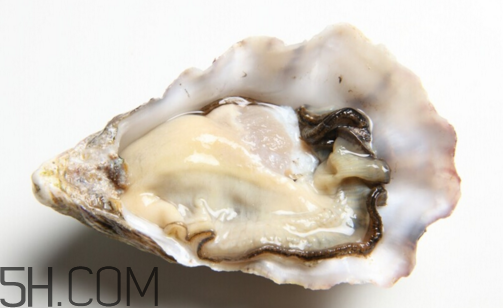 扇貝和生蠔有什么區(qū)別？扇貝和生蠔的營養(yǎng)價值