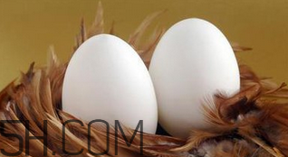 生蠔和雞蛋可以一起吃嗎？生蠔不熟可以吃嗎？