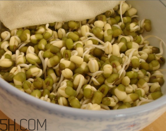 如何健康的喝豆?jié){？喝豆?jié){有什么注意事項嗎？