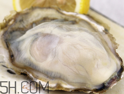 生蠔和芒果可以一起吃嗎？孕婦可以吃生蠔嗎？