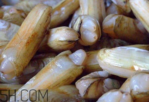 蟶子里面的黑色能吃嗎？蟶子為什么一撒鹽就出來？