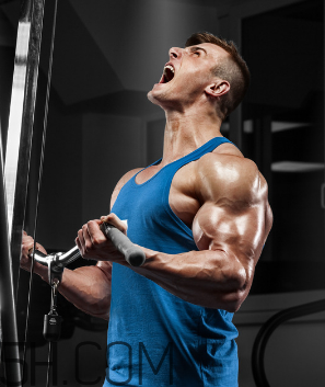 金戈多長時間起效？金戈多久吃一次合適？