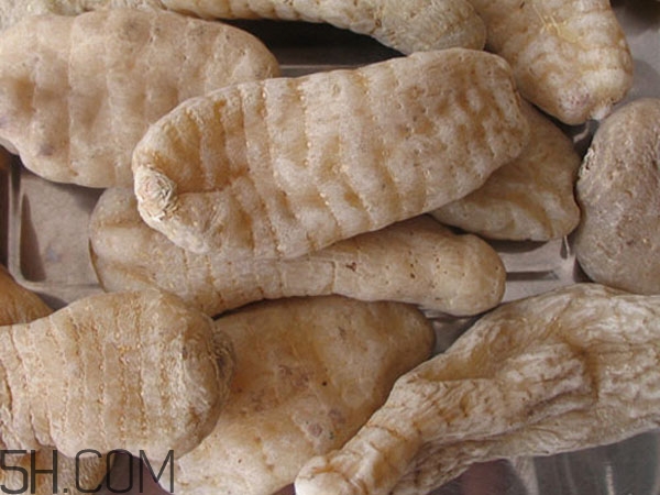 天麻能泡水喝嗎？吃天麻有什么作用？