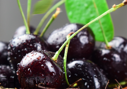 如何挑選車厘子？新鮮車厘子的挑選方法？