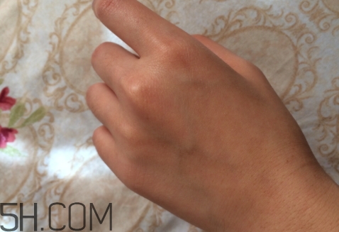 royvol萊茵是什么牌子？royvol萊茵是哪個國家的