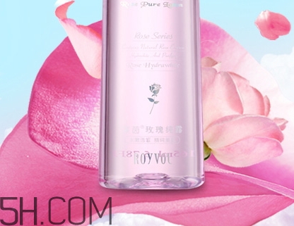 royvol萊茵是什么牌子？royvol萊茵是哪個國家的