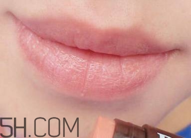 口紅是用什么做的？可以吃的口紅品牌推薦