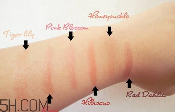 口紅是用什么做的？可以吃的口紅品牌推薦