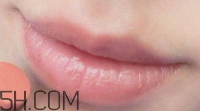 口紅是用什么做的？可以吃的口紅品牌推薦