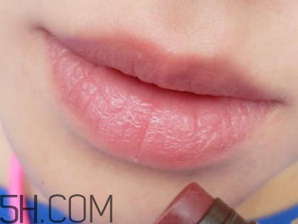 口紅是用什么做的？可以吃的口紅品牌推薦