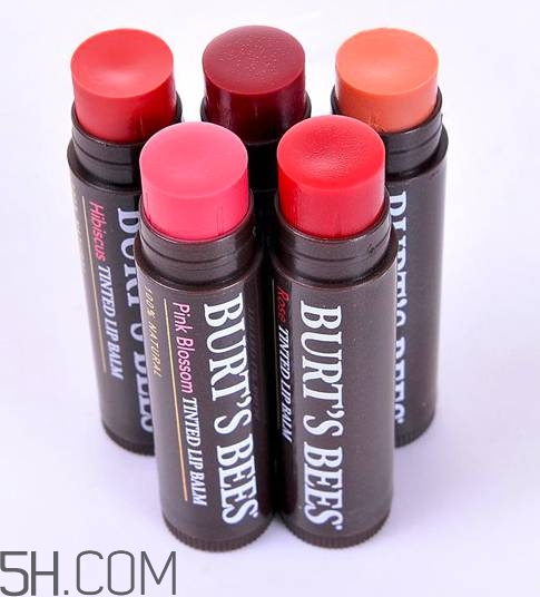 口紅是用什么做的？可以吃的口紅品牌推薦