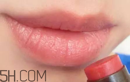 口紅是用什么做的？可以吃的口紅品牌推薦