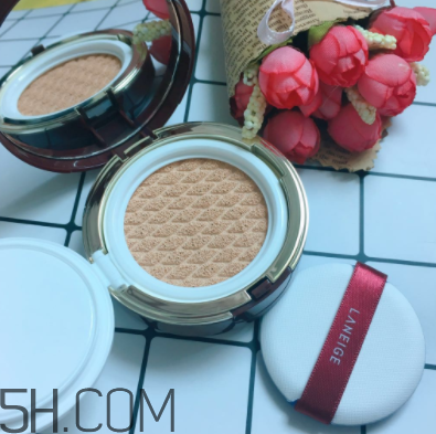 蘭芝氣墊霜控油嗎？蘭芝氣墊霜適合油皮嗎？