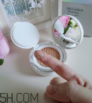 蘭芝啞光氣墊霜哪個色號適合黃皮？使用心得