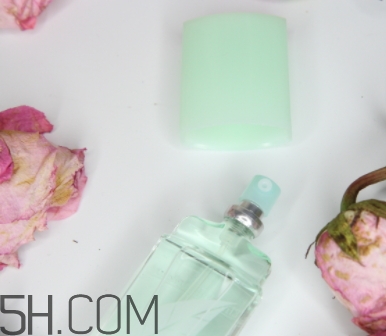 雅頓第五大道香水專柜價(jià)格 雅頓第五大道什么味道 雅頓第五大道香水專柜價(jià)格 雅頓第五大道什么味道