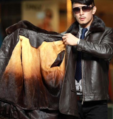 黃金貂是什么？黃金貂和水貂哪個好？