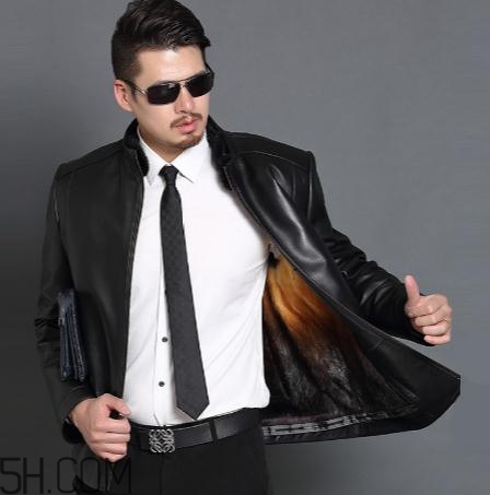 黃金貂是什么？黃金貂和水貂哪個好？