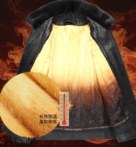 黃金貂內(nèi)膽真假怎么看？黃金貂內(nèi)膽真假界別