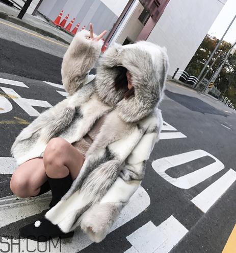 十字貂和水貂哪個(gè)好？十字貂和水貂哪個(gè)貴？