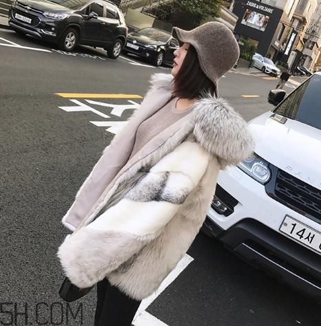 十字貂和水貂哪個(gè)好？十字貂和水貂哪個(gè)貴？