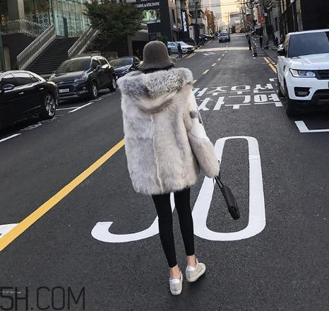 十字貂和水貂哪個(gè)好？十字貂和水貂哪個(gè)貴？