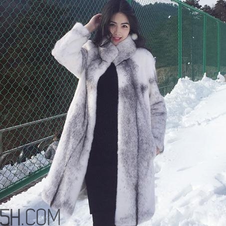 十字貂什么顏色最貴？十字貂價(jià)格