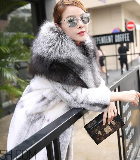 丹麥貂好還是美國貂好？丹麥貂和美國貂的區(qū)別