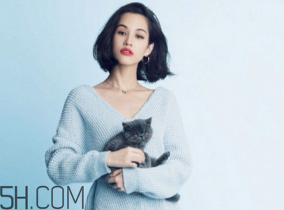 雪花秀和蘭芝哪個好用？雪花秀在韓國屬于什么檔次？