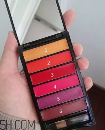 口紅盤和口紅哪個更好？口紅盤和口紅區(qū)別