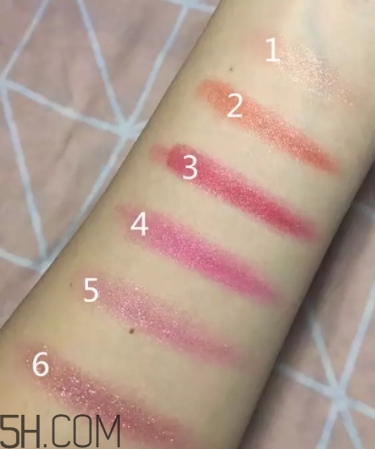 口紅盤和口紅哪個更好？口紅盤和口紅區(qū)別